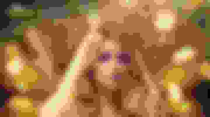 bg-0